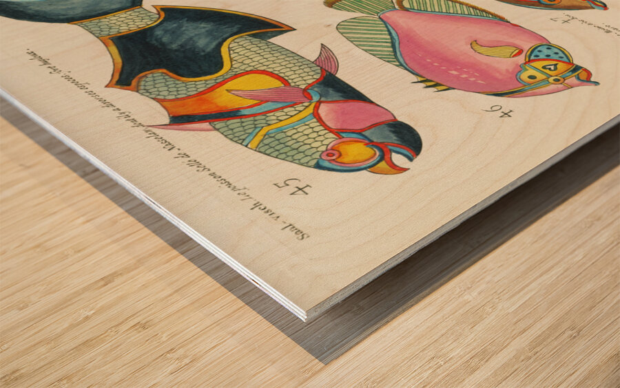 Colourful and surreal illustrations of fishes found in Moluccas Indonesia and the East Indies by Louis Renard 1678 -1746 from Histoire naturelle des plus rares curiositez de la mer des Indes 1754. Wood print