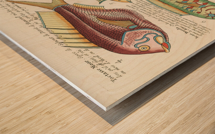 Colourful and surreal illustrations of fishes found in Moluccas Indonesia and the East Indies by Louis Renard 1678 -1746 from Histoire naturelle des plus rares curiositez de la mer des Indes 1754. Wood print