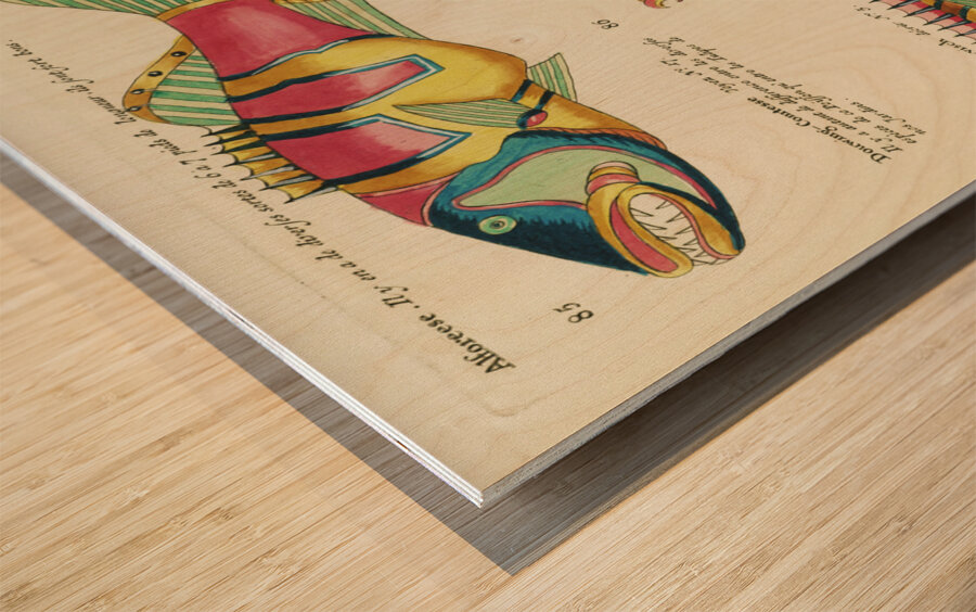 Colourful and surreal illustrations of fishes found in Moluccas Indonesia and the East Indies by Louis Renard 1678 -1746 from Histoire naturelle des plus rares curiositez de la mer des Indes 1754. Wood print