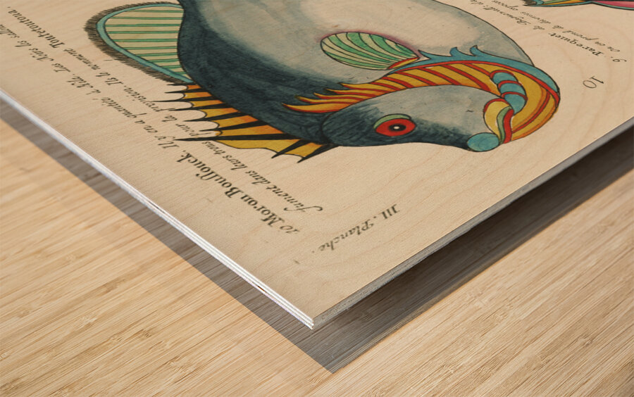 Colourful and surreal illustrations of fishes found in Moluccas Indonesia and the East Indies by Louis Renard 1678 -1746 from Histoire naturelle des plus rares curiositez de la mer des Indes 1754. Impression sur bois