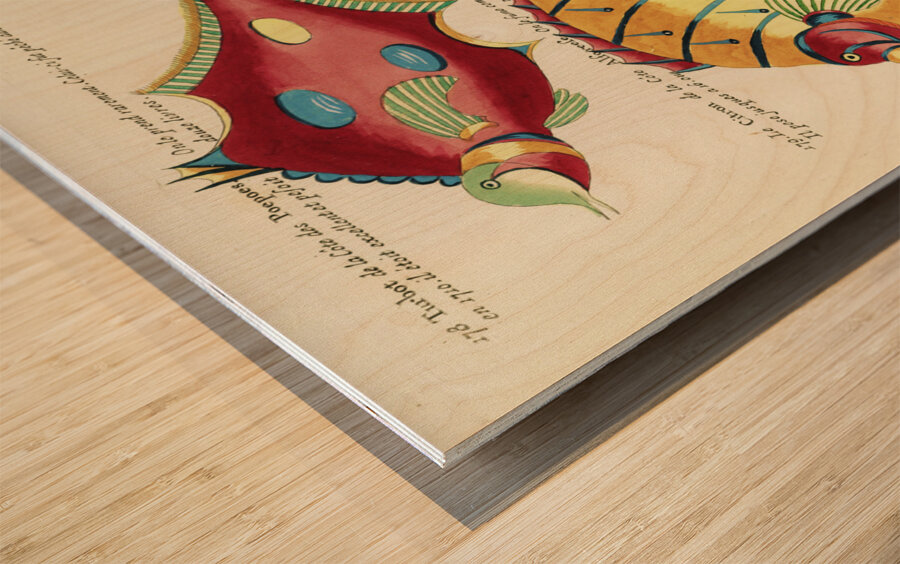 Colourful and surreal illustrations of fishes found in Moluccas Indonesia and the East Indies by Louis Renard 1678 -1746 from Histoire naturelle des plus rares curiositez de la mer des Indes 1754. Wood print