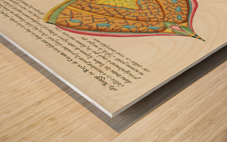 Colourful and surreal illustrations of fishes found in Moluccas Indonesia and the East Indies by Louis Renard 1678 -1746 from Histoire naturelle des plus rares curiositez de la mer des Indes 1754. Wood print