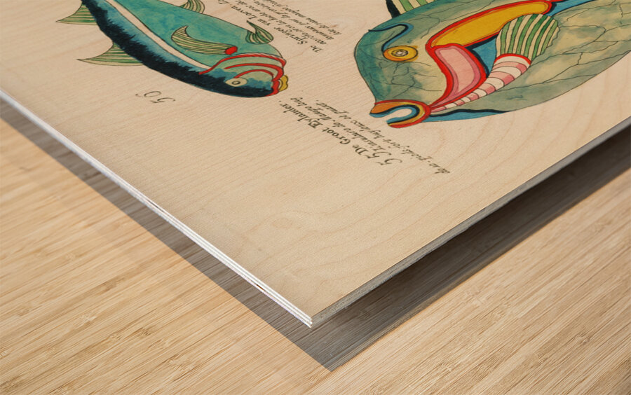 Colourful and surreal illustrations of fishes found in Moluccas Indonesia and the East Indies by Louis Renard 1678 -1746 from Histoire naturelle des plus rares curiositez de la mer des Indes 1754. Wood print