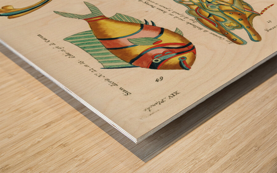 Colourful and surreal illustrations of fishes found in Moluccas Indonesia and the East Indies by Louis Renard 1678 -1746 from Histoire naturelle des plus rares curiositez de la mer des Indes 1754. Wood print