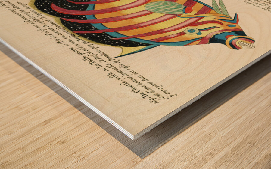 Colourful and surreal illustrations of fishes found in Moluccas Indonesia and the East Indies by Louis Renard 1678 -1746 from Histoire naturelle des plus rares curiositez de la mer des Indes 1754. Impression sur bois