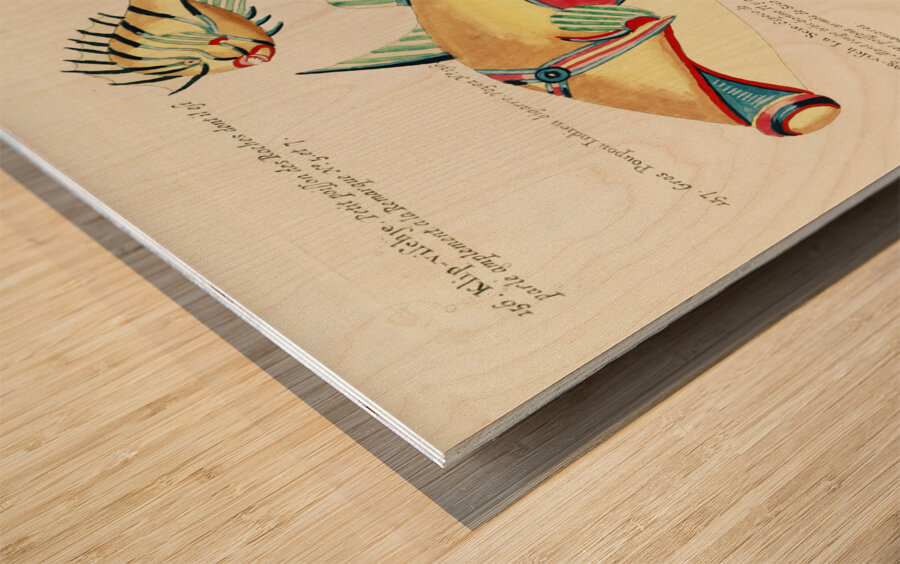 Colourful and surreal illustrations of fishes and crab found in the Indian and Pacific Oceans by Louis Renard 1678 -1746 from Histoire naturelle des plus rares curiositez de la mer des Indes 1754. Wood print