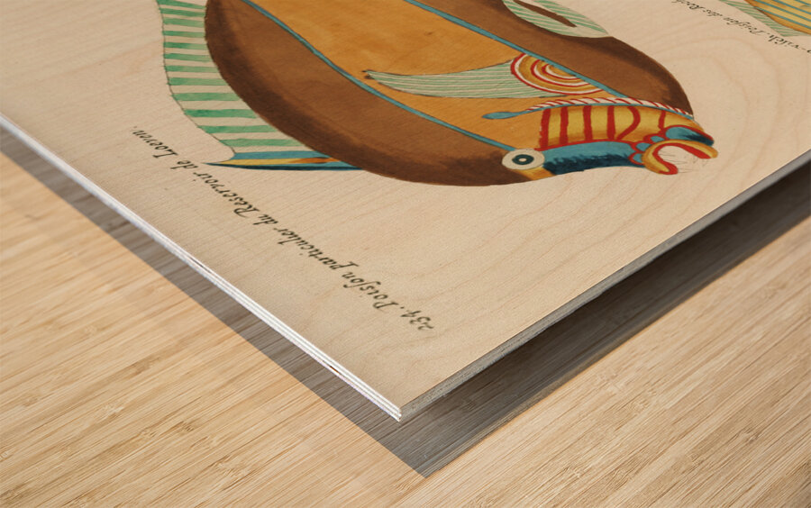 Colourful and surreal illustrations of fishes found in Moluccas Indonesia and the East Indies by Louis Renard 1678 -1746 from Histoire naturelle des plus rares curiositez de la mer des Indes 1754. Wood print