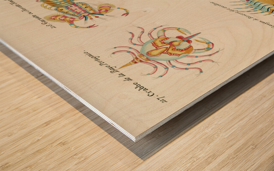 Colourful and surreal illustrations of crabs and lobster found in Moluccas Indonesia and the East Indies by Louis Renard 1678 -1746 from Histoire naturelle des plus rares curiositez de la mer des Indes 1754. Wood print