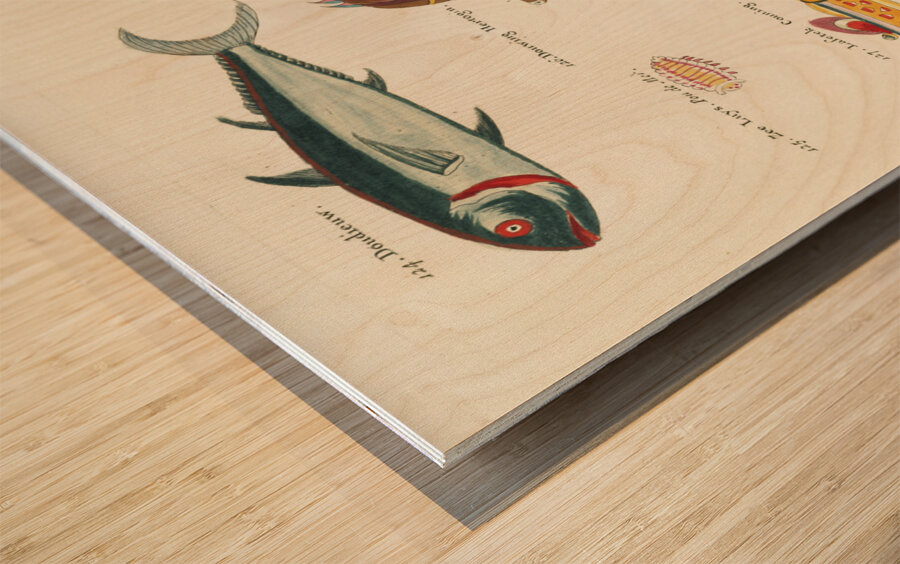 Colourful and surreal illustrations of fishes and lobster found in Moluccas Indonesia and the East Indies by Louis Renard 1678 -1746 from Histoire naturelle des plus rares curiositez de la mer des Indes 1754. Wood print