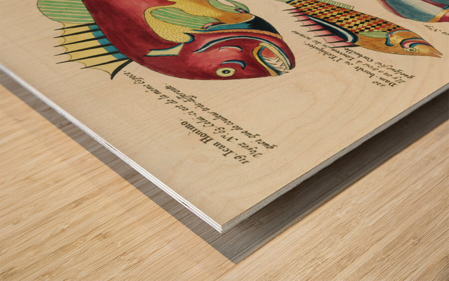 Colourful and surreal illustrations of fishes found in Moluccas Indonesia and the East Indies by Louis Renard 1678 -1746 from Histoire naturelle des plus rares curiositez de la mer des Indes 1754. Wood print