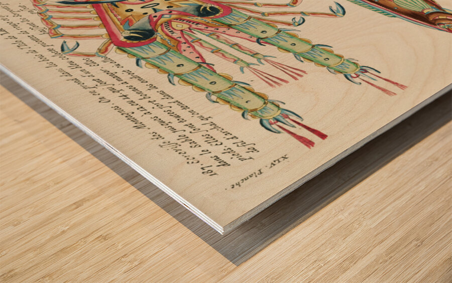 Colourful and surreal illustrations of fish and lobster found in Moluccas Indonesia and the East Indies by Louis Renard 1678 -1746 from Histoire naturelle des plus rares curiositez de la mer des Indes 1754. Wood print