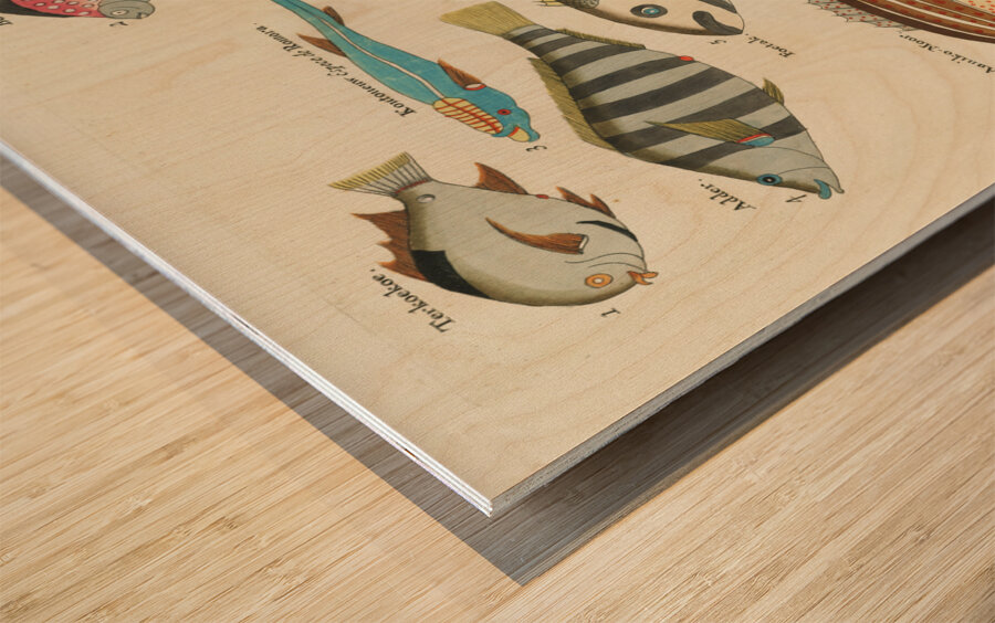 Colourful and surreal illustrations of fishes found in Moluccas Indonesia and the East Indies by Louis Renard 1678 -1746 from Histoire naturelle des plus rares curiositez de la mer des Indes 1754. Wood print