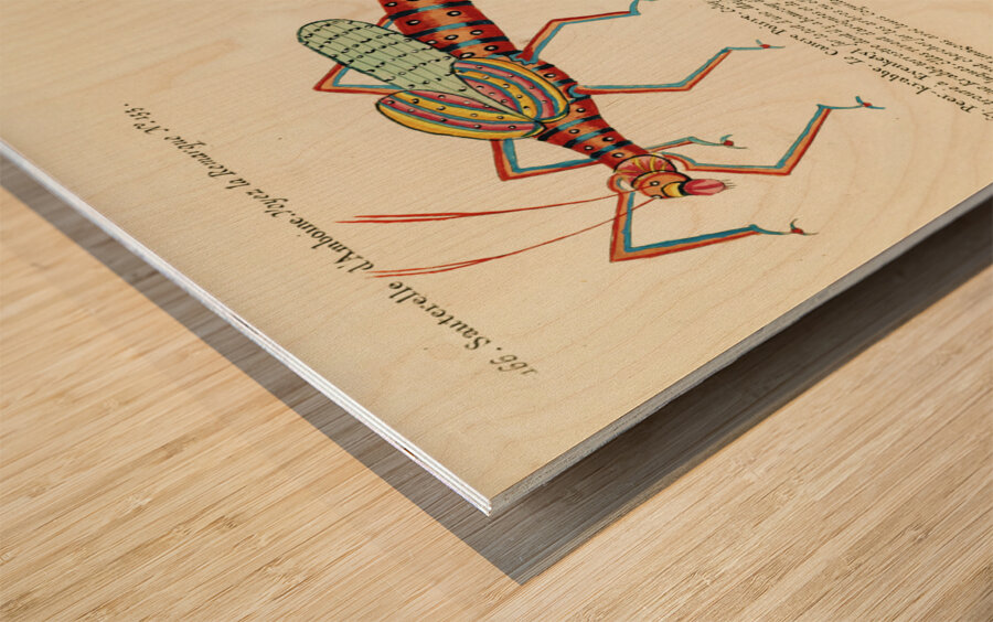 Colourful and surreal illustrations of fishes and crabs found in Moluccas Indonesia and the East Indies by Louis Renard 1678 -1746 from Histoire naturelle des plus rares curiositez de la mer des Indes 1754. Wood print