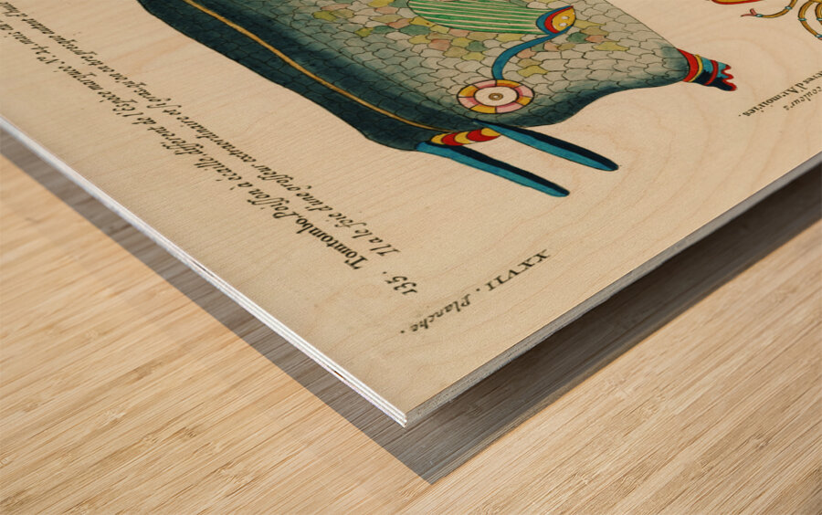 Colourful and surreal illustrations of fishes and crab found in Moluccas Indonesia and the East Indies by Louis Renard 1678 -1746 from Histoire naturelle des plus rares curiositez de la mer des Indes 1754. Wood print