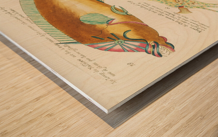 Colourful and surreal illustrations of fishes found in Moluccas Indonesia and the East Indies by Louis Renard 1678 -1746 from Histoire naturelle des plus rares curiositez de la mer des Indes 1754. Impression sur bois