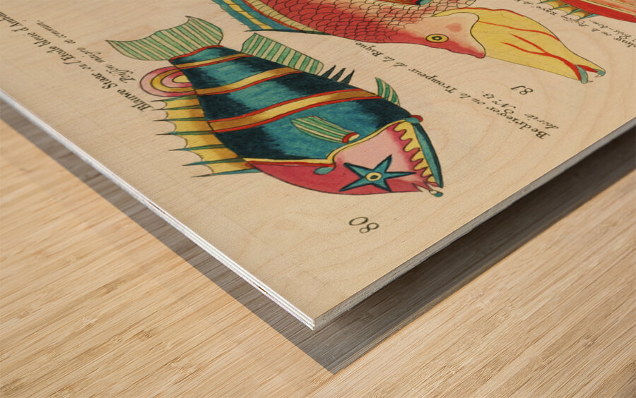 Colourful and surreal illustrations of fishes found in Moluccas Indonesia and the East Indies by Louis Renard 1678 -1746 from Histoire naturelle des plus rares curiositez de la mer des Indes 1754. Wood print