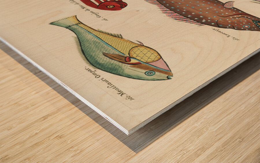 Colourful and surreal illustrations of fishes found in Moluccas Indonesia and the East Indies by Louis Renard 1678 -1746 from Histoire naturelle des plus rares curiositez de la mer des Indes 1754. Wood print