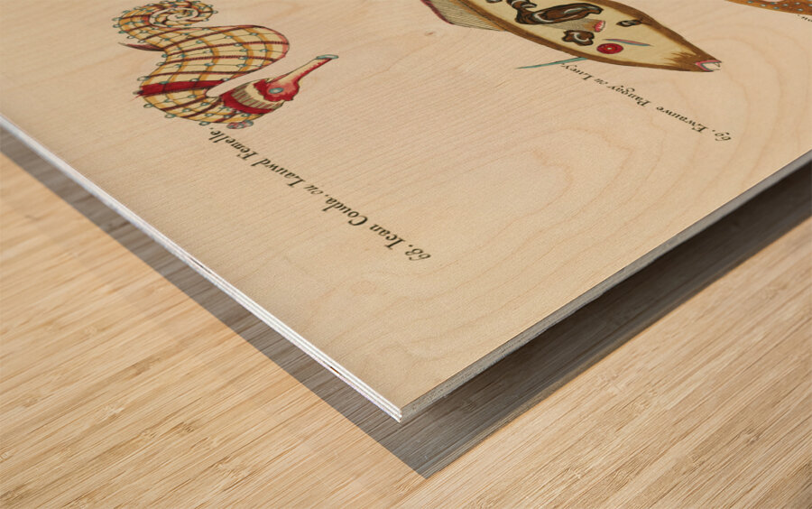 Colourful and surreal illustrations of fishes and sea horse found in Moluccas Indonesia and the East Indies by Louis Renard 1678 -1746 from Histoire naturelle des plus rares curiositez de la mer des Indes 1754. Impression sur bois