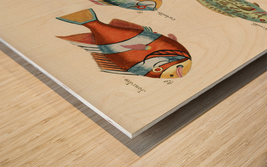 Colourful and surreal illustrations of fishes found in Moluccas Indonesia and the East Indies by Louis Renard 1678 -1746 from Histoire naturelle des plus rares curiositez de la mer des Indes 1754. Wood print