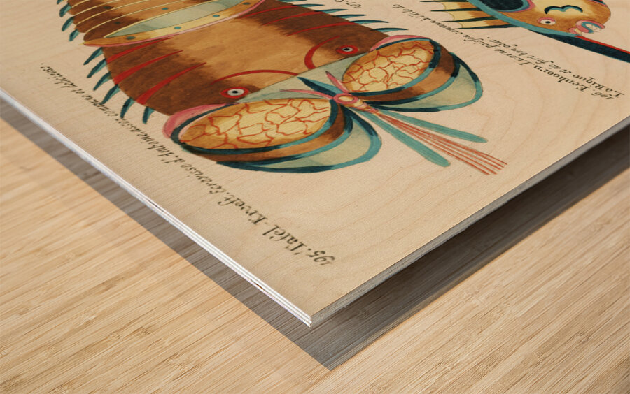 Colourful and surreal illustrations of fishes lobster and crab found in the Indian and Pacific Oceans by Louis Renard 1678 -1746 from Histoire naturelle des plus rares curiositez de la mer des Indes 1754. Wood print