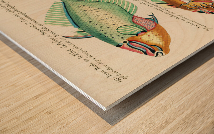 Colourful and surreal illustrations of fishes found in Moluccas Indonesia and the East Indies by Louis Renard 1678 -1746 from Histoire naturelle des plus rares curiositez de la mer des Indes 1754. Wood print