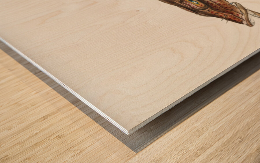 Antique fish platycephalus sp flathead South Pacific Fishes by Frank Edward Clarke 1849-1899.  Wood print