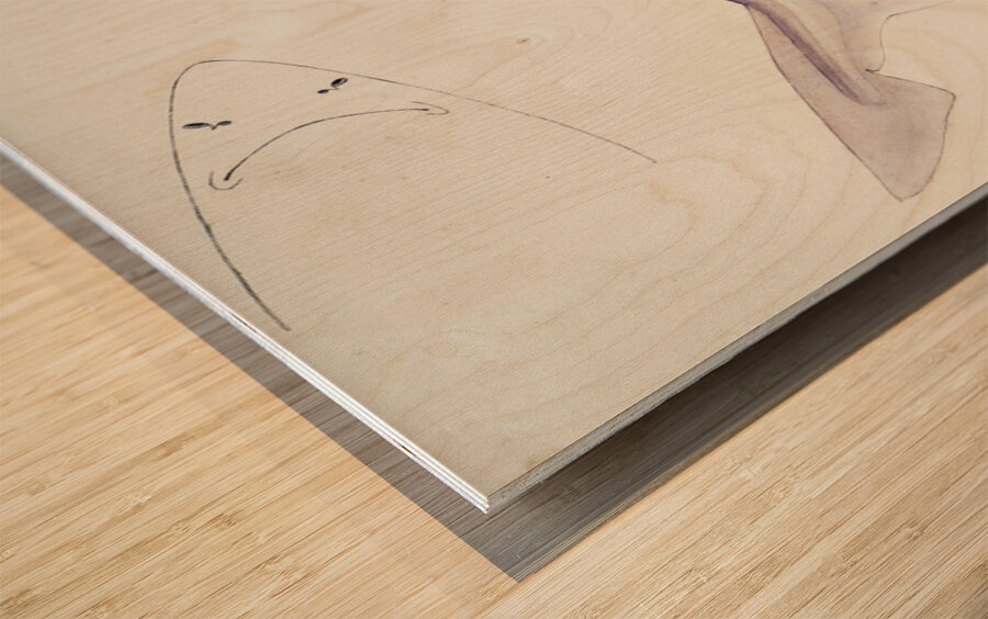 Antique fish myxus elongatus sand mullet South Pacific Fishes by Frank Edward Clarke 1849-1899.  Impression sur bois