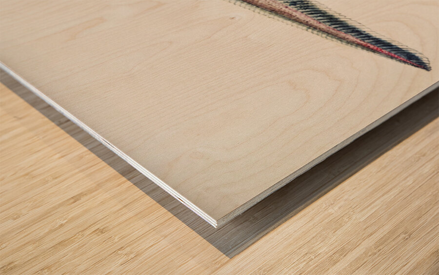 Antique fish Coelorinchus sp NZ : Rattail South Pacific Fishes by Frank Edward Clarke 1849-1899.  Wood print