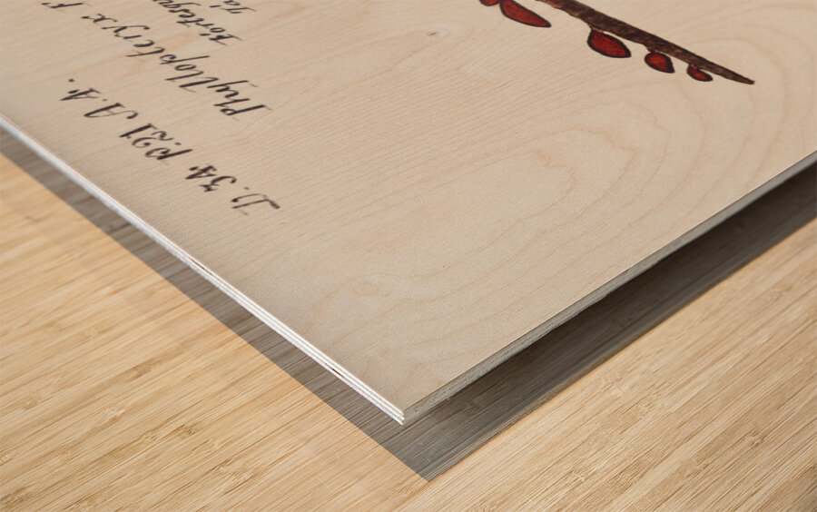 Antique fish phyllopteryx taeniolatus South Pacific Fishes by Frank Edward Clarke 1849-1899.  Wood print