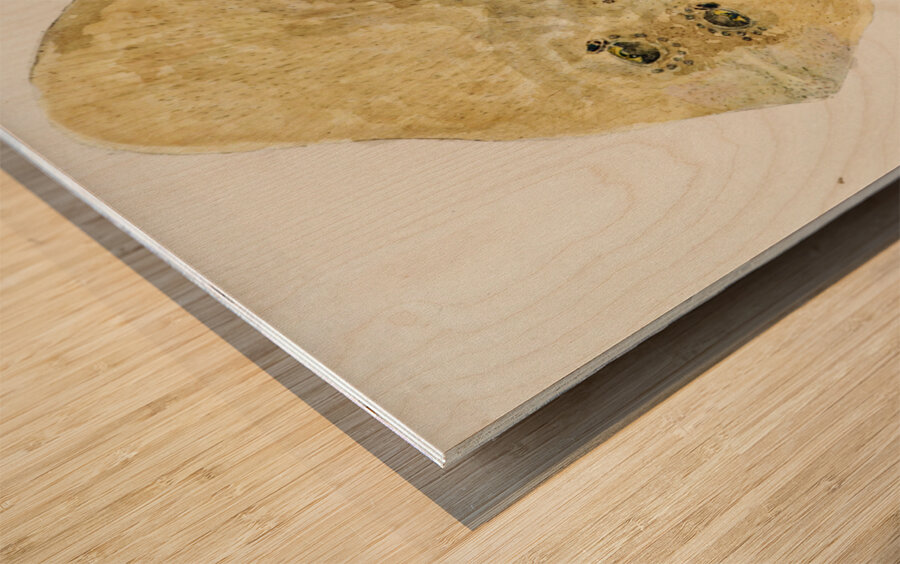 Antique fish sardinops neopilchardus pilchard South Pacific Fishes by Frank Edward Clarke 1849-1899.  Wood print