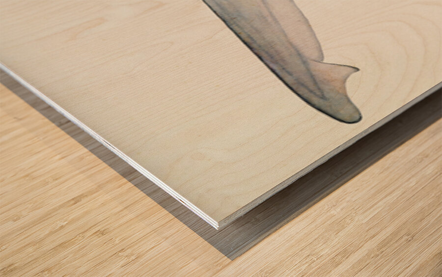 Antique fish South Pacific Fishes by Frank Edward Clarke 1849-1899.  Wood print