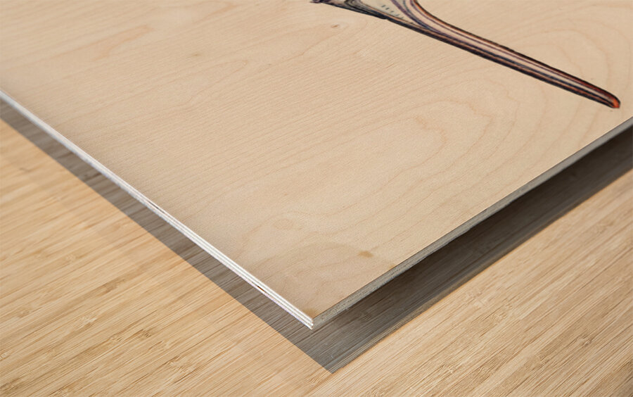 Antique fish Hyporhamphus Melanochir South Pacific Fishes by Frank Edward Clarke 1849-1899.  Wood print