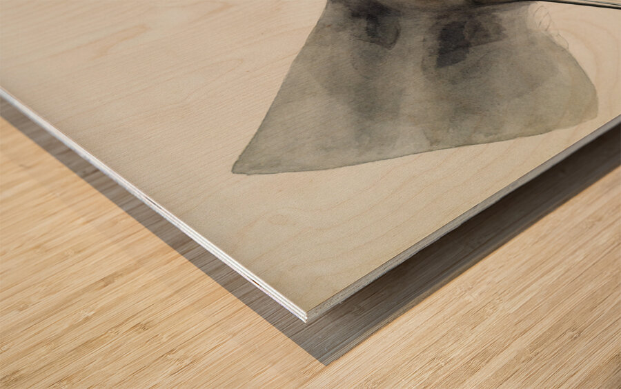 Antique fish Hammerhead Shark South Pacific Fishes by Frank Edward Clarke 1849-1899.  Wood print