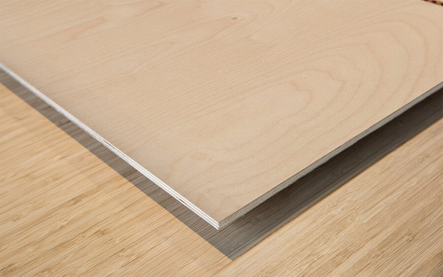 Antique fish hippocampus abdominalis seahorse South Pacific Fishes by Frank Edward Clarke 1849-1899.  Wood print