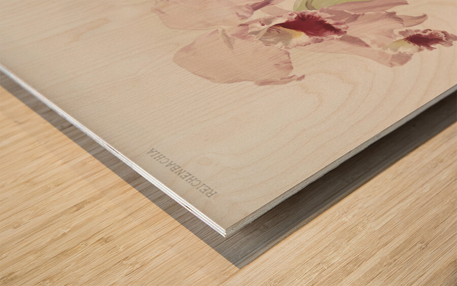 Cattleya labiata from Reichenbachia Orchids 1888-1894 illustrated by Frederick Sander 1847-1920.  Wood print