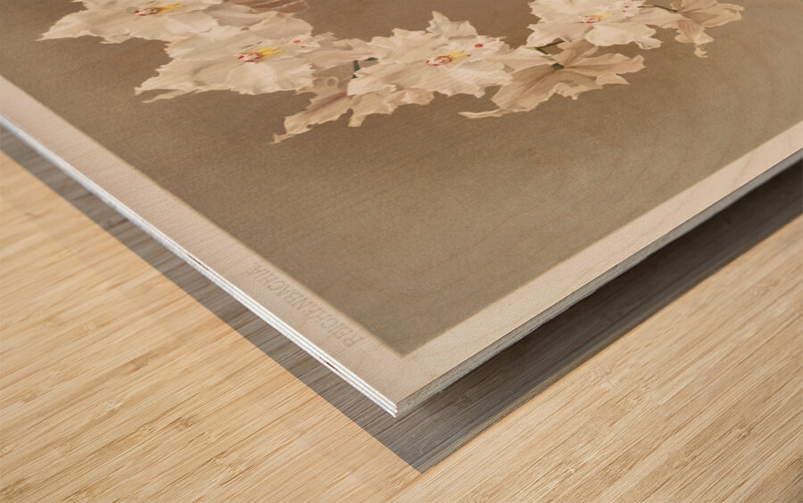 Odontoglossum crispum from Reichenbachia Orchids 1888-1894 by Frederick Sander 1847-1920.  Wood print