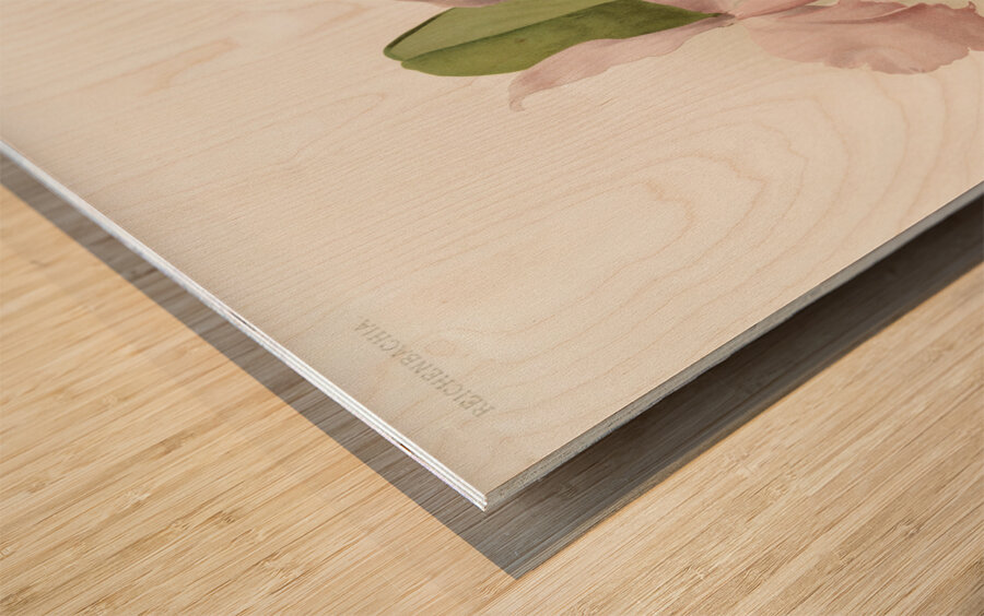 Cattleya labiata warneri from Reichenbachia Orchids 1888-1894 illustrated by Frederick Sander 1847-1920.  Wood print