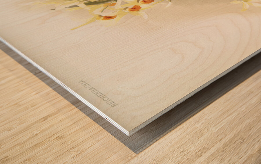 Dendrobium aureum from Reichenbachia Orchids 1888-1894 illustrated by Frederick Sander 1847-1920.  Wood print