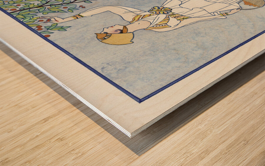 La saison des prunes mirabelles: Robe dapr&egraves-midi de Redfern 1914 fashion illustration  by George Barbier.  Wood print