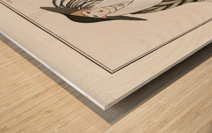 Costumes Parisiens: Manteau de Zibelin 1912 fashion illustration  by George Barbier.  Wood print