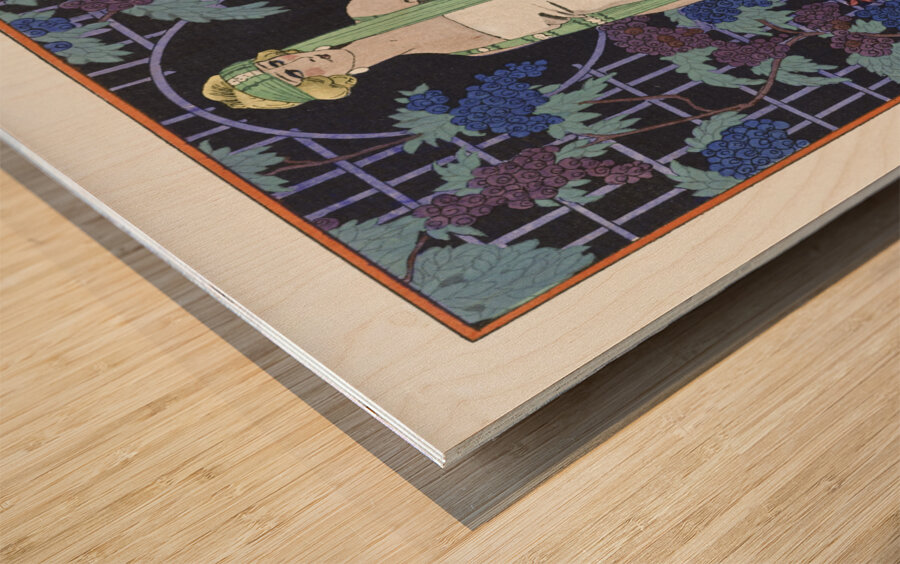 Des robes dans la nuit: Robe du soir de Worth 1921 fashion illustration  by George Barbier.  Wood print