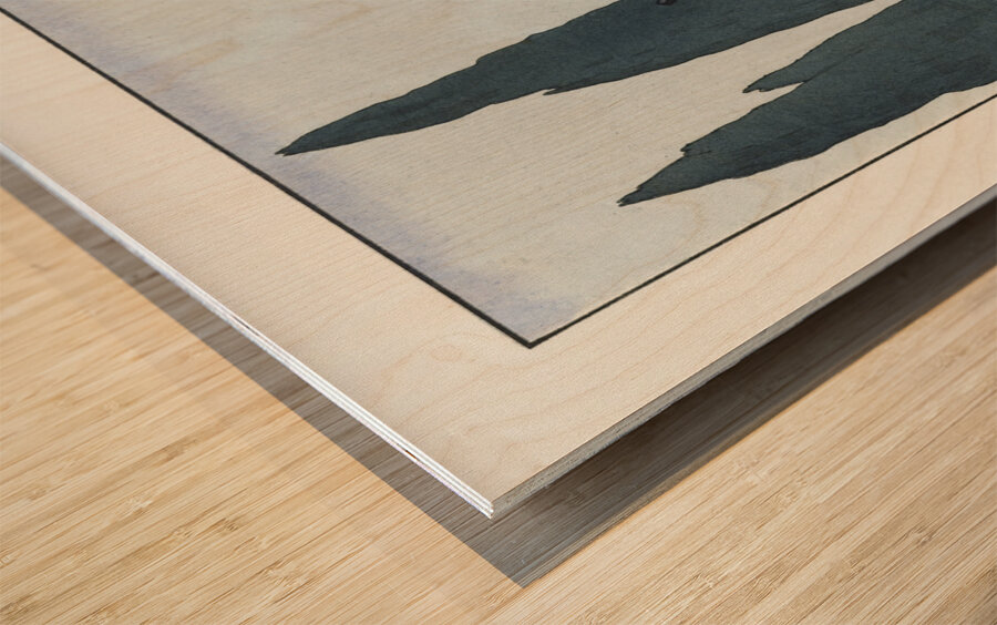 La Villa dEste: France XXe siecle 1923 fashion illustration  by George Barbier.  Wood print