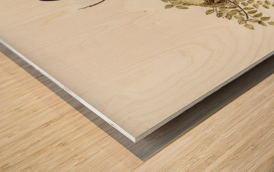 Wood Swallow Artamus sordid illustrated by Elizabeth Gould 1804–1841 for John Gould’s 1804-1881 Birds of Australia  Wood print