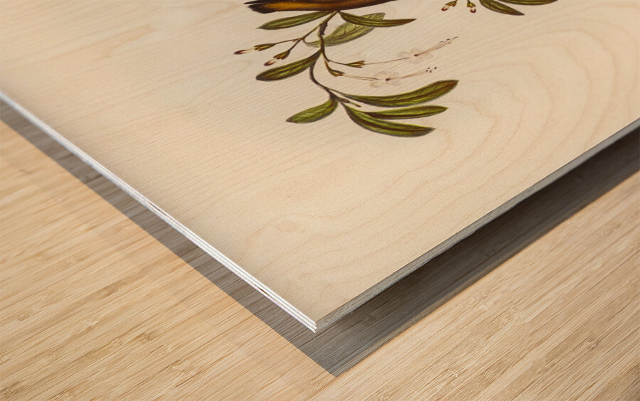 Red-lored Pardalote Pardalotus rubricatus illustrated by Elizabeth Gould 1804–1841 for John Gould’s 1804-1881 Birds of Australia  Wood print