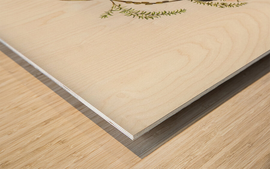 Black-headed Pardalote Pardalotus melanocephalus illustrated by Elizabeth Gould 1804–1841 for John Gould’s 1804-1881 Birds of Australia  Wood print