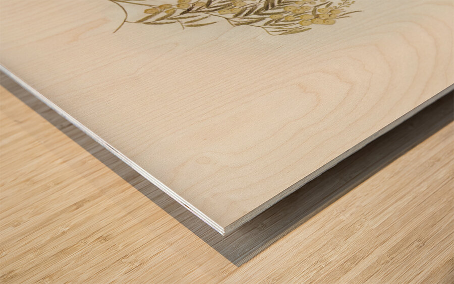 Blue Shining Flycatcher Piezorhynchus nitidus illustrated by Elizabeth Gould 1804–1841 for John Gould’s 1804-1881 Birds of Australia  Wood print