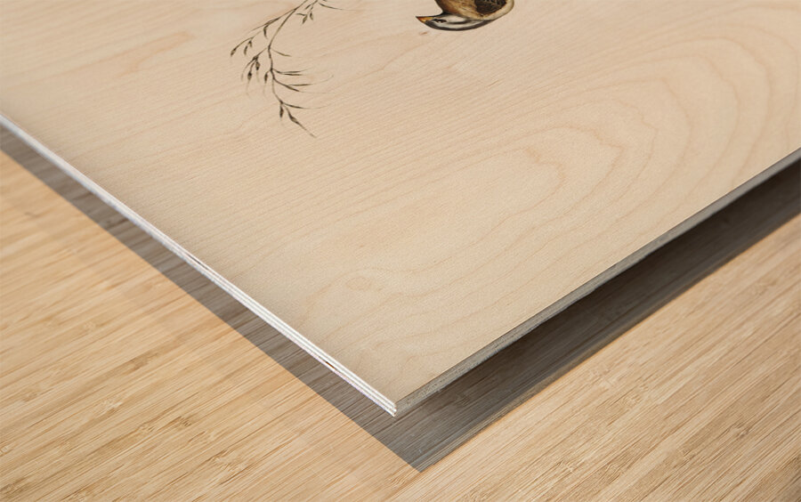 Yellow-breasted Robin Eopsaltria Australis illustrated by Elizabeth Gould 1804–1841 for John Gould’s 1804-1881 Birds of Australia  Wood print