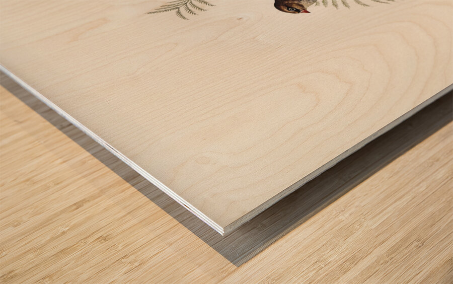 Fire-tailed Finch illustrated by Elizabeth Gould 1804–1841 for John Gould’s 1804-1881 Birds of Australia  Wood print