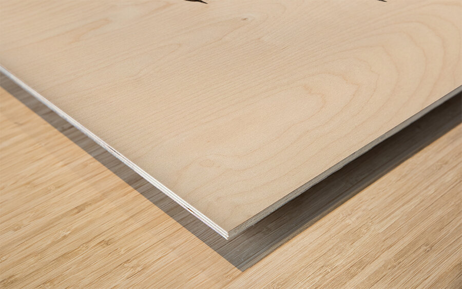 White-fronted chat Ephthianura albifrons illustrated by Elizabeth Gould 1804–1841 for John Gould’s 1804-1881 Birds of Australia  Wood print