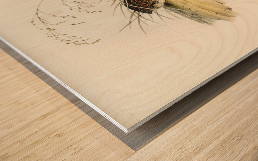 Chinese Quail Synoicus Chinensis illustrated by Elizabeth Gould 1804–1841 for John Gould’s 1804-1881 Birds of Australia  Wood print